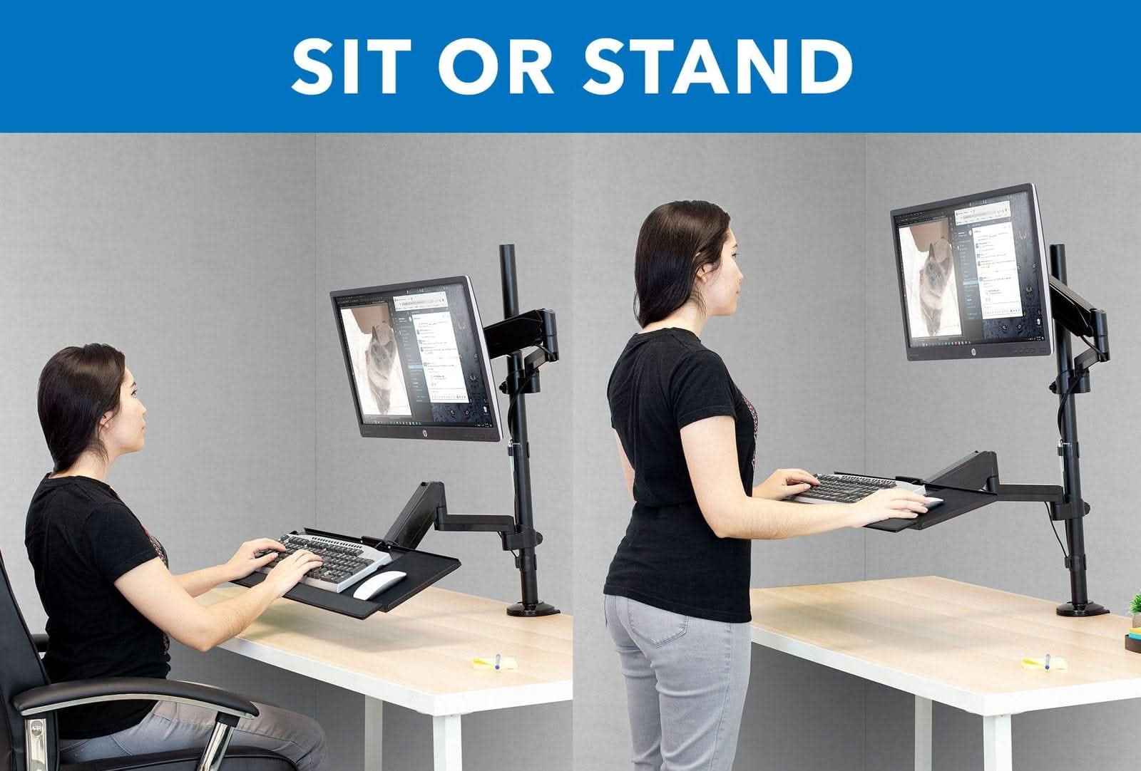 SIT OR STAND