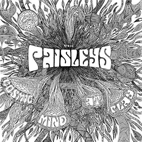 The Paisley - Cosmic Mind at Play   - VINYL LP price history on PriceWatchPro