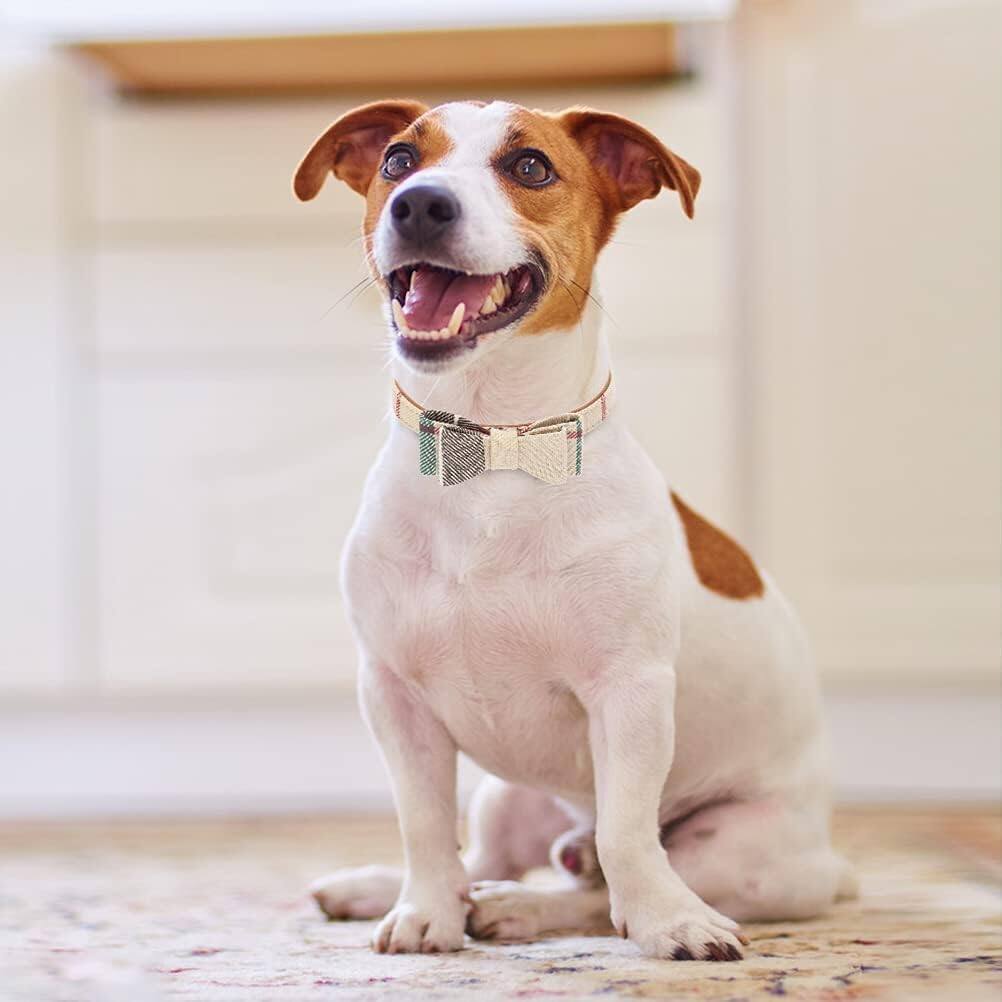Alt View 7. Paradigms Interiors - Dog Collar And Leash Set With Bowtie Bells - Puppy For Boy Or Girl Classic Plaid Matching Pattern Soft - Blue-Small(Neck Girth 9"-11").