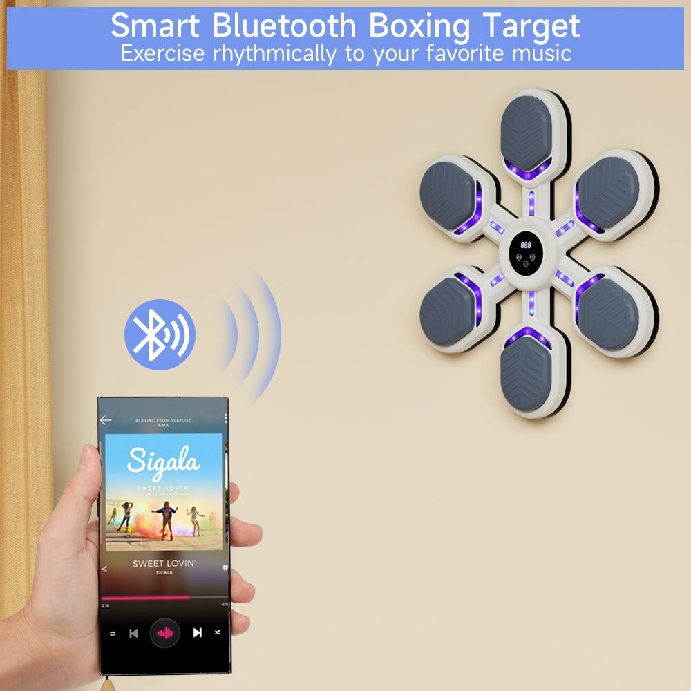 Smart Bluetooth Boxing Target  
Exercise rhythmically to your favorite music  

Sigala  
SWEET LOVIN'