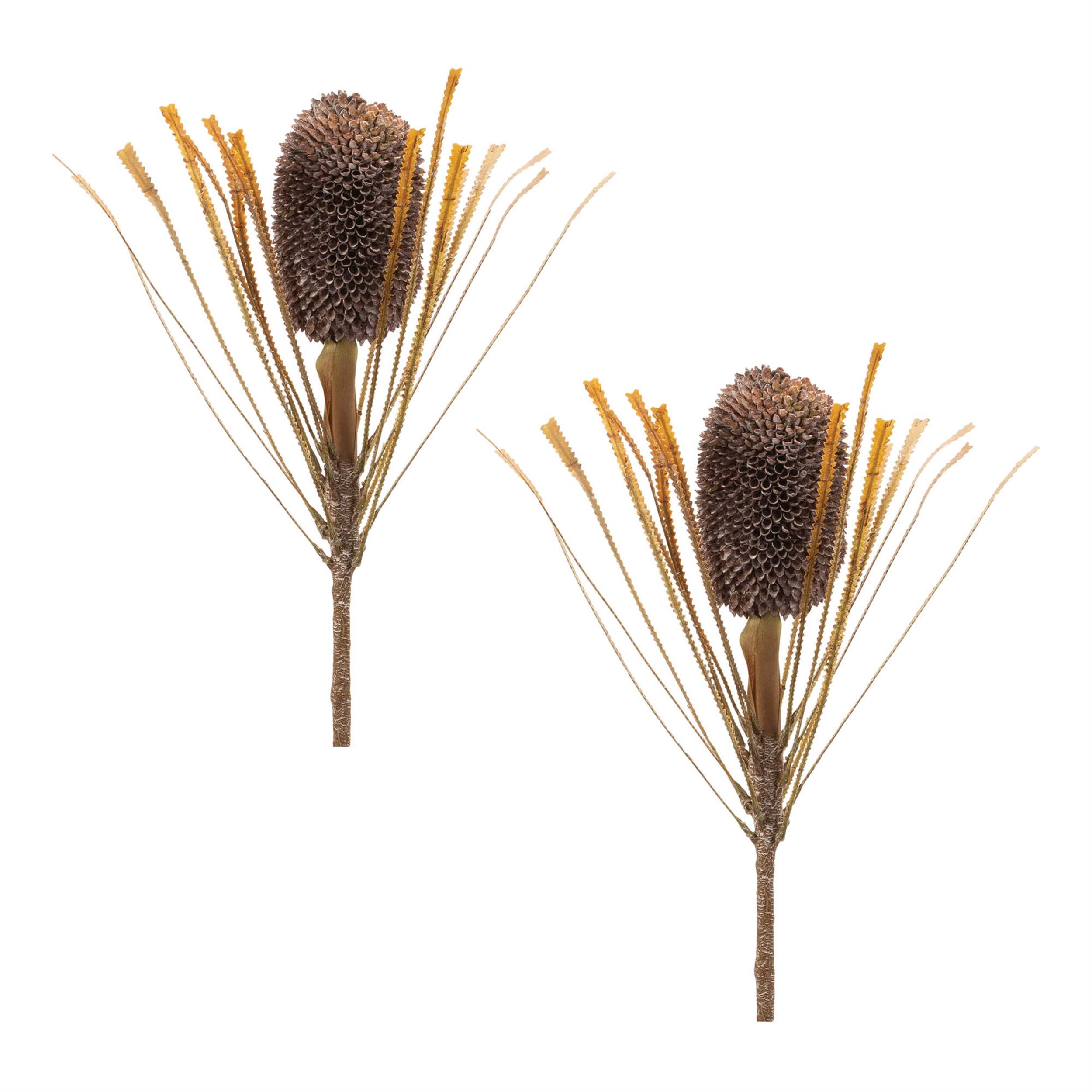 Left. BreeBe - Fall Banksia Pod Stem (Set of 2) - Brown, BEige.