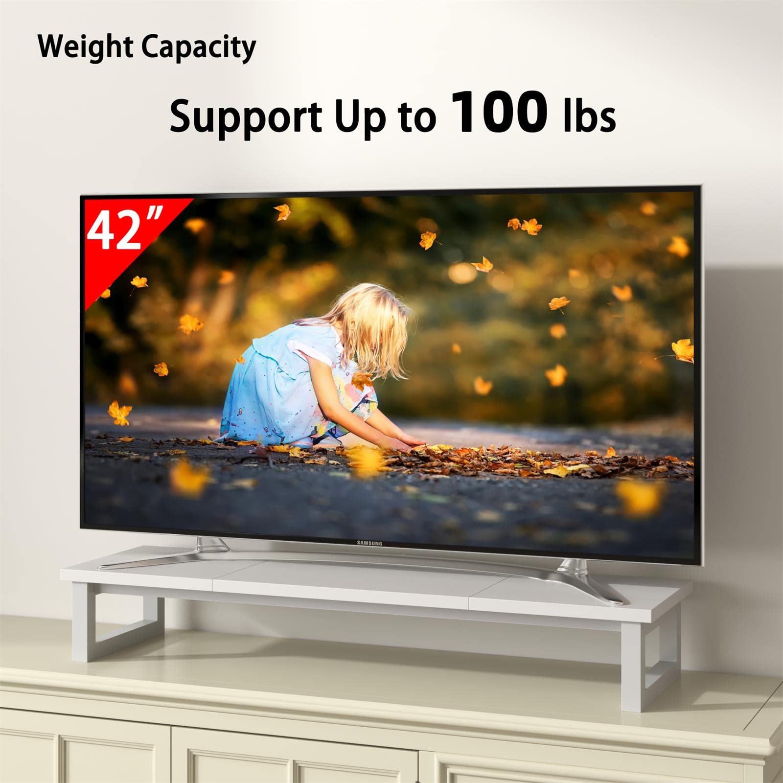 Weight Capacity  
Support Up to 100 lbs  

42"