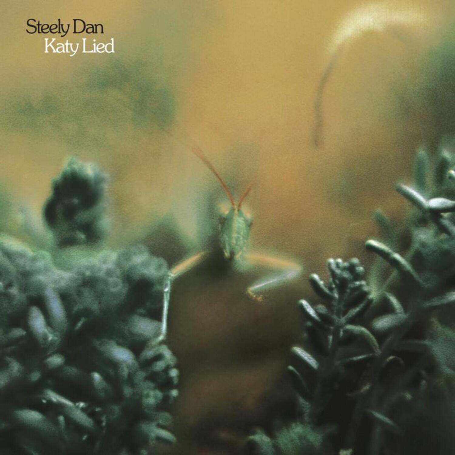 Steely Dan - Katy Lied   - SUPER-AUDIO CD [Super Audio CD (SACD)]