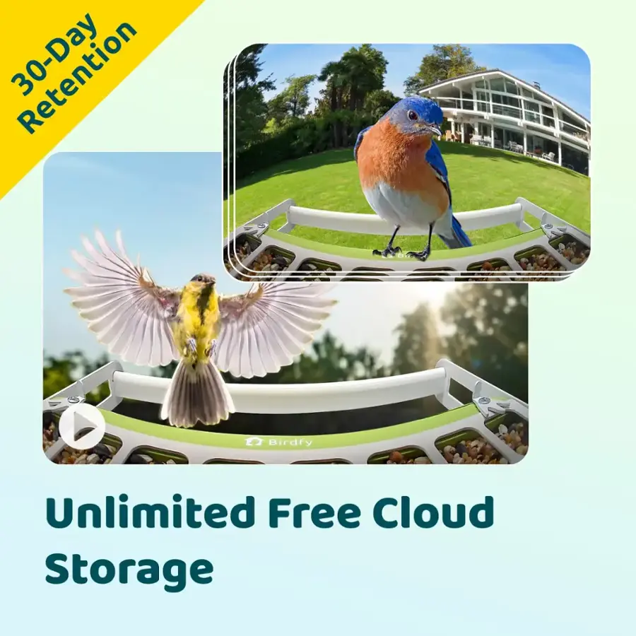 30-Day Unlimited Free Cloud Storage