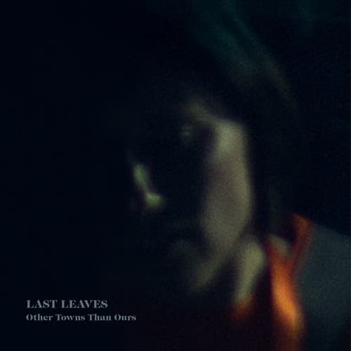 Last Leaves - Other Towns Than Ours   - COMPACT DISCS [CD] price history on PriceWatchPro