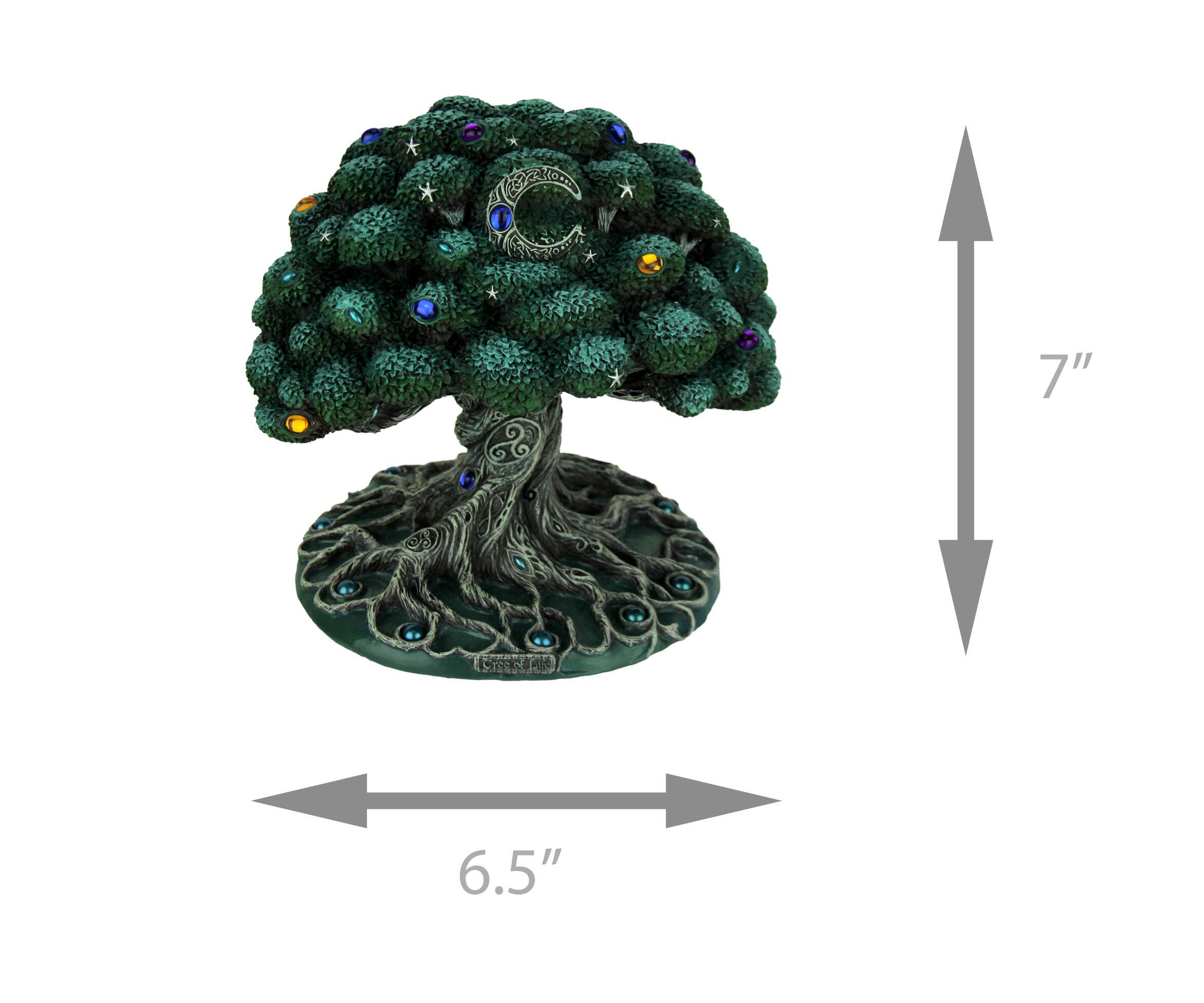 The text on the image is:

- "CCACO"
- "7''"
- "6.5''"