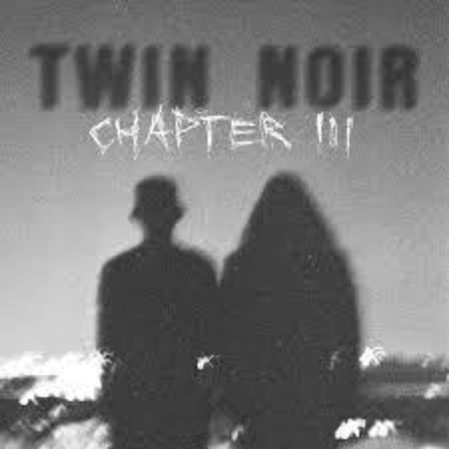 Twin Noir - Chapter 3   - VINYL LP price history on PriceWatchPro
