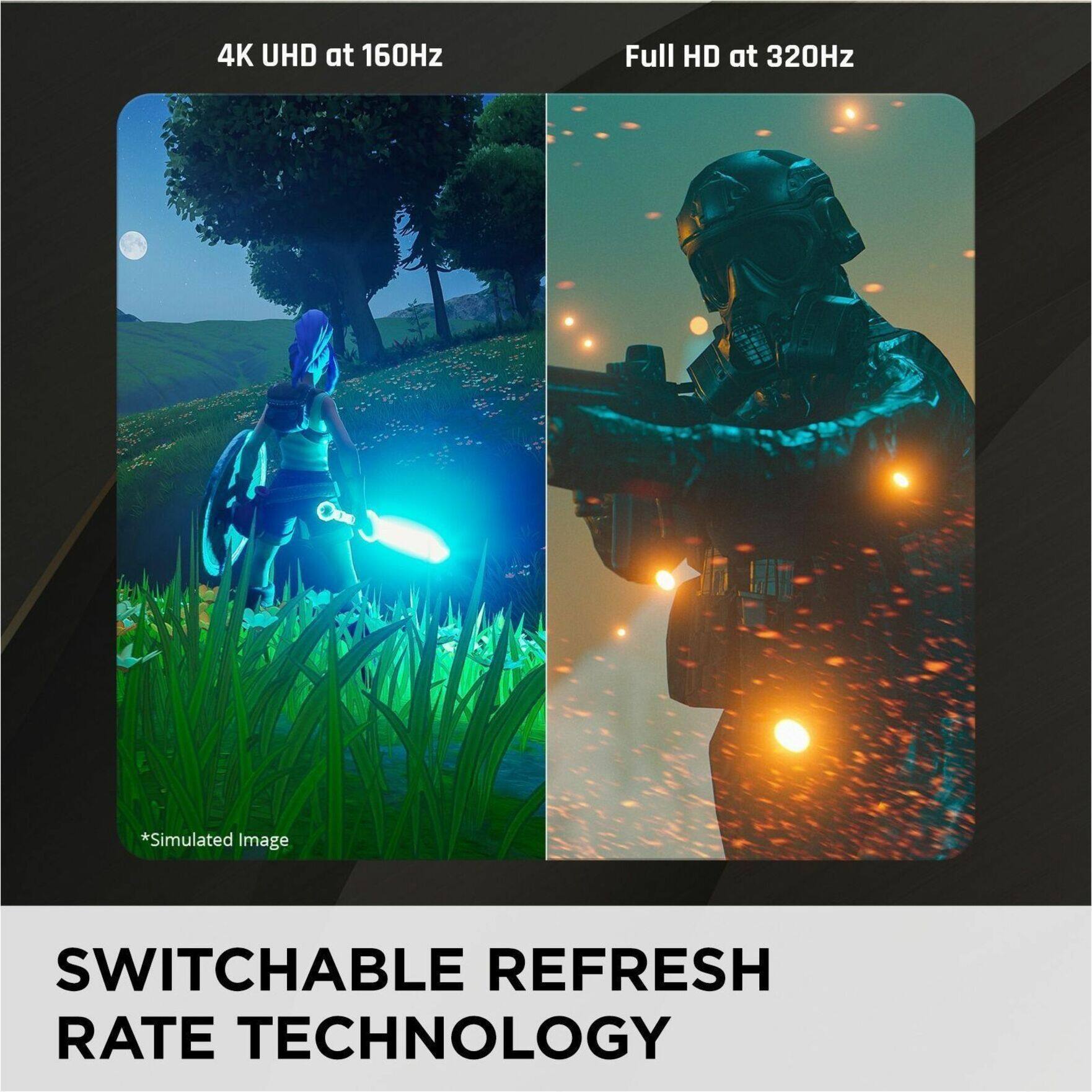 Switchable Refresh Rate Technology