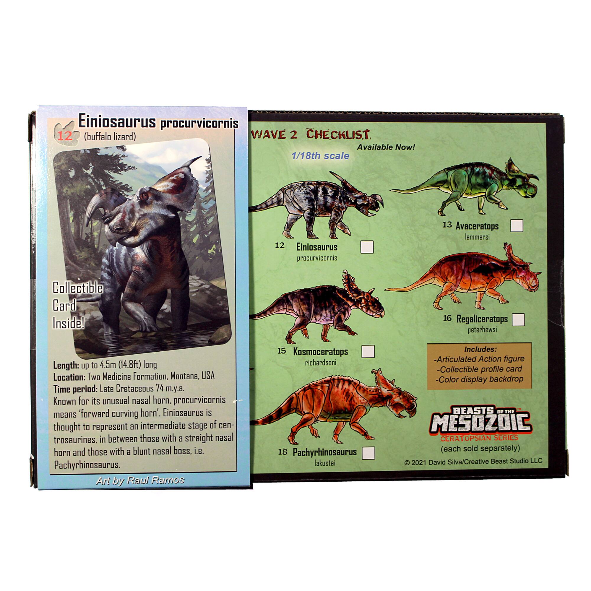 Einiosaurus procurvicornis WAVE 2 CHECKLIST. Available Now! 1/18th scale 12 Einiosaurus procurvicornis 13 Avaceratops lammersi Collectible Card Inside! 16 Regaliceratops peterhewsi Length: up to 4.5m (14.8ft) long Location: Two Medicine Formation. Montana. USA Time period: Late Cretaceous 74 m.y.a. Known for its unusual nasal horn, procurvicornis means forward curving horn'. Einiosaurus is thought to represent an intermediate stage of centrosaurines, in between those with a straight nasal horn and those with a blunt nasal boss, i.e. Pachyrhinosaurus. Art by Raul Ramos 15 Kosmoceratops richardsoni 16 Pachyrhinosaurus lakustai Includes: -Articulated Action figure -Collectible profile card -Color display backdrop BEASTS... THE MESOZOIC CERATOPSIAN SLIES (each sold separately) 2021 David Silva/Creative Beast Studio LLC