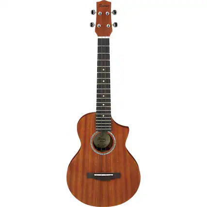 Ibanez Thinline CLM