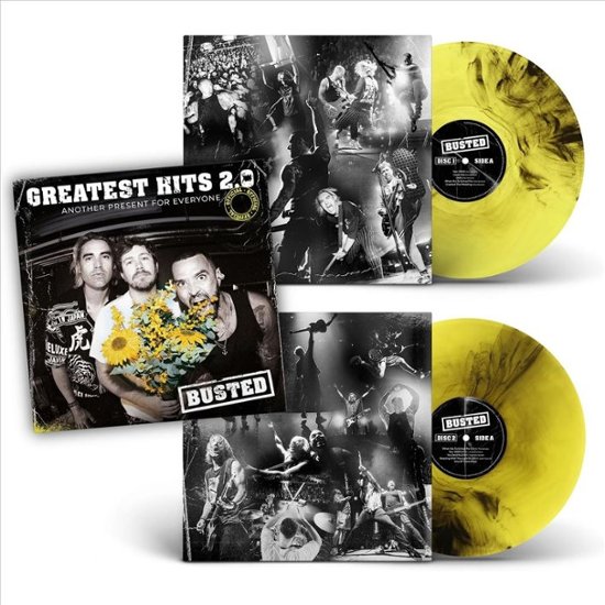 Greatest Hits e Greatest Hits 2 - Ristampa in vinile - esce il 18 novembre