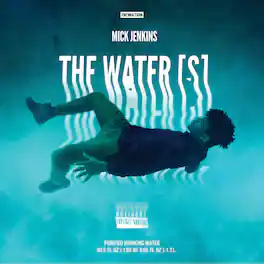 Mick Jenkins - The Water(s) - VINYL LP