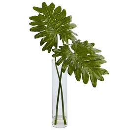 BreeBe - 29" Philodendron in Cylinder Glass - Green