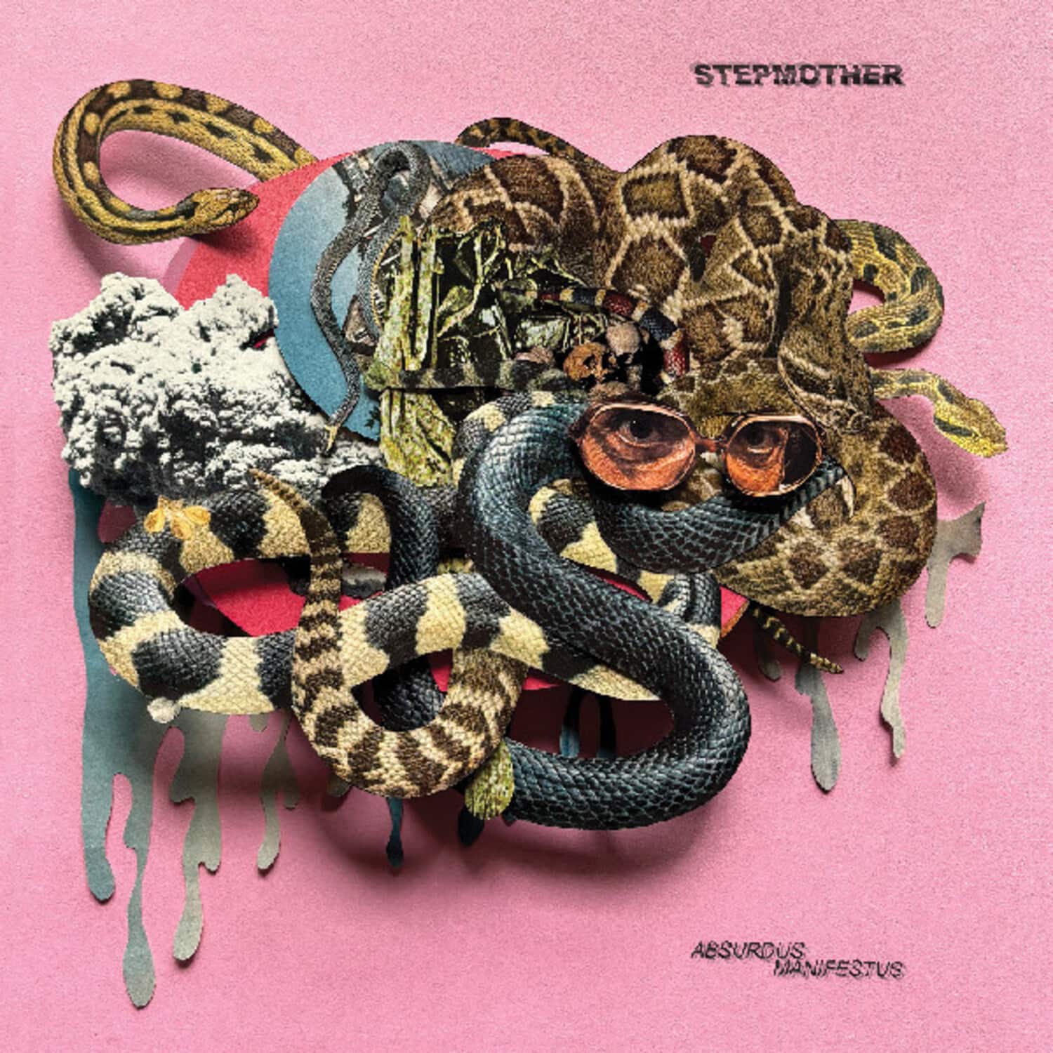 Stepmother - Absurdus Manifestus (GUNMETAL GRAY VINYL)   - VINYL LP price history on PriceWatchPro