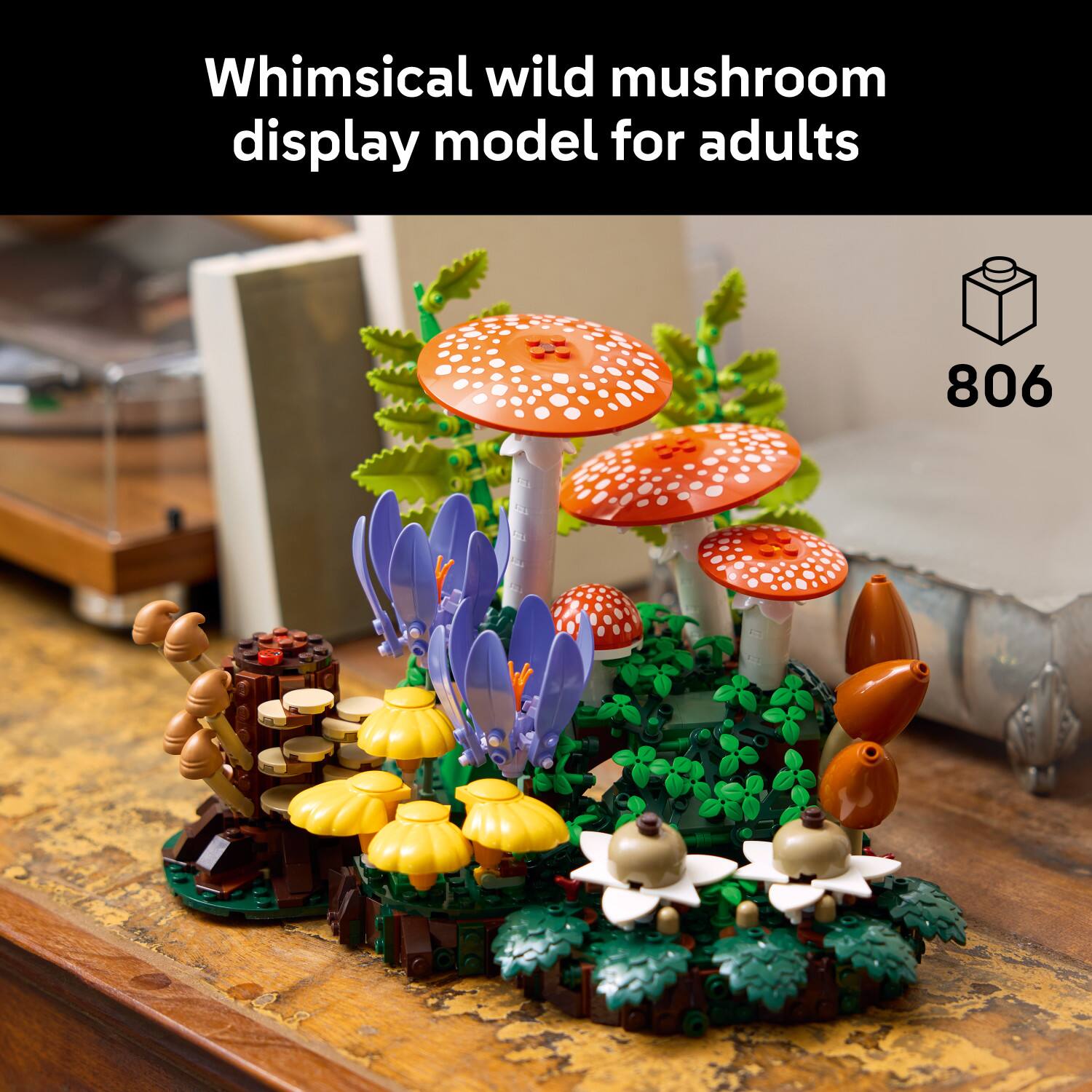 Whimsical wild mushroom display model for adults  
806