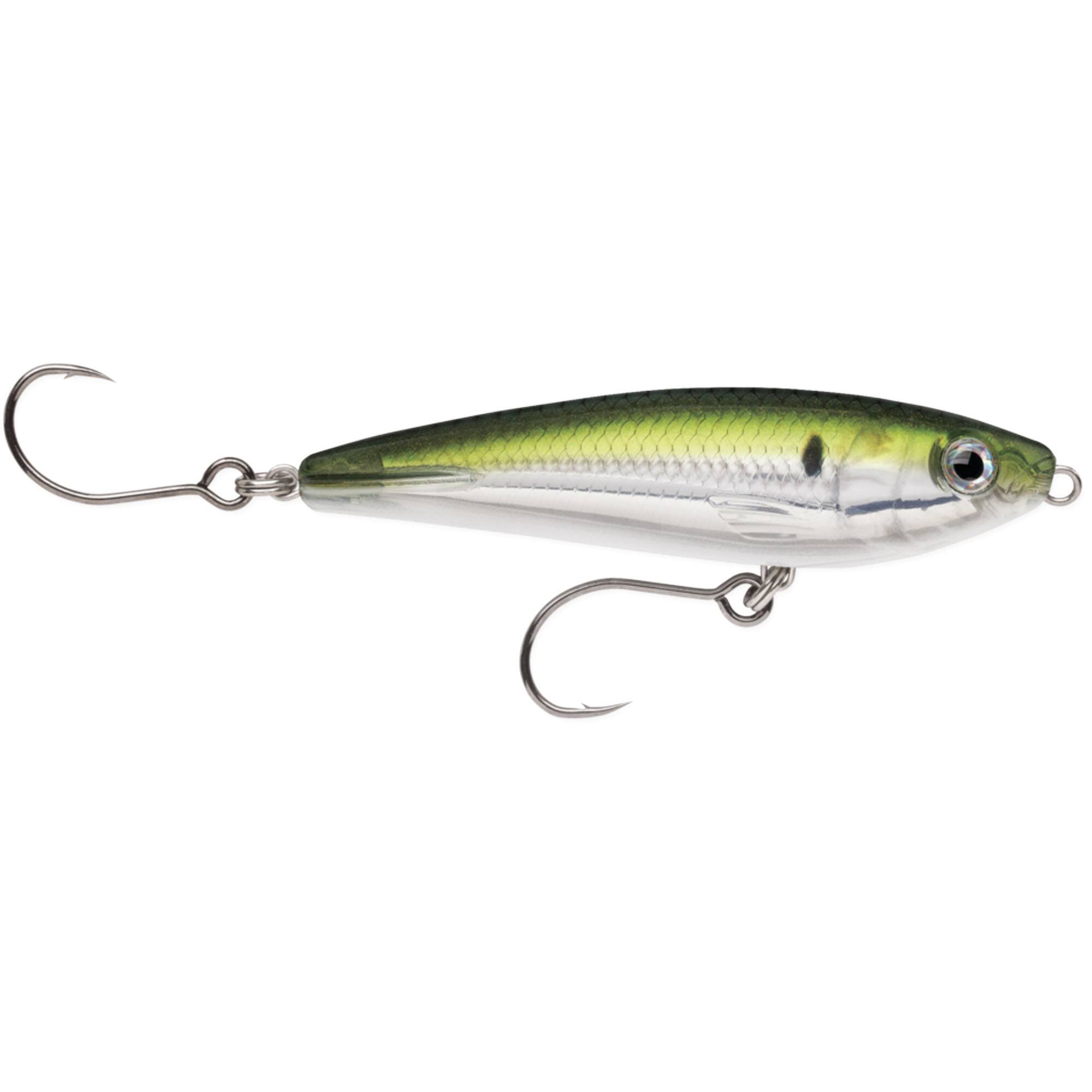 Pilchard
