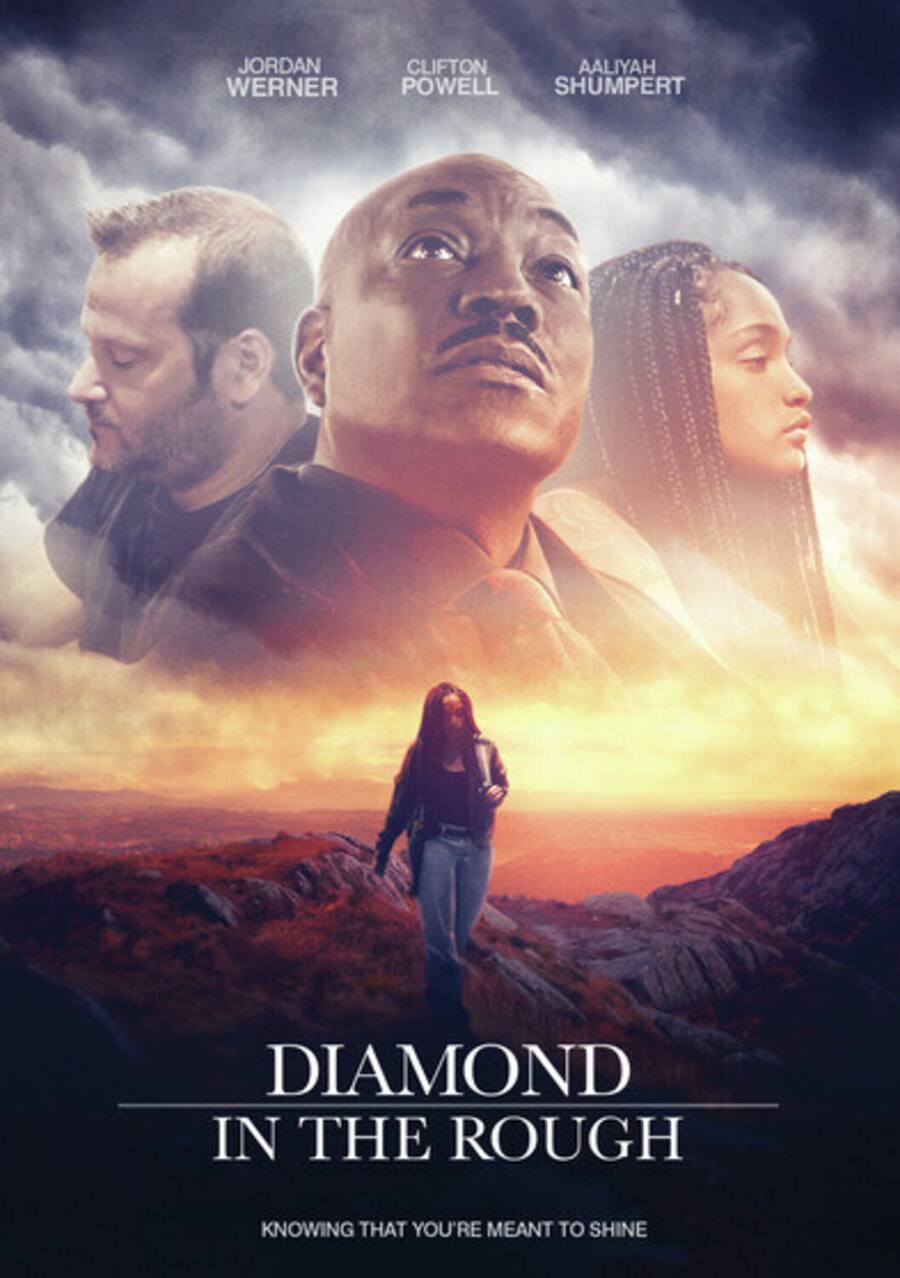 Diamond In The Rough DVD - Best Buy