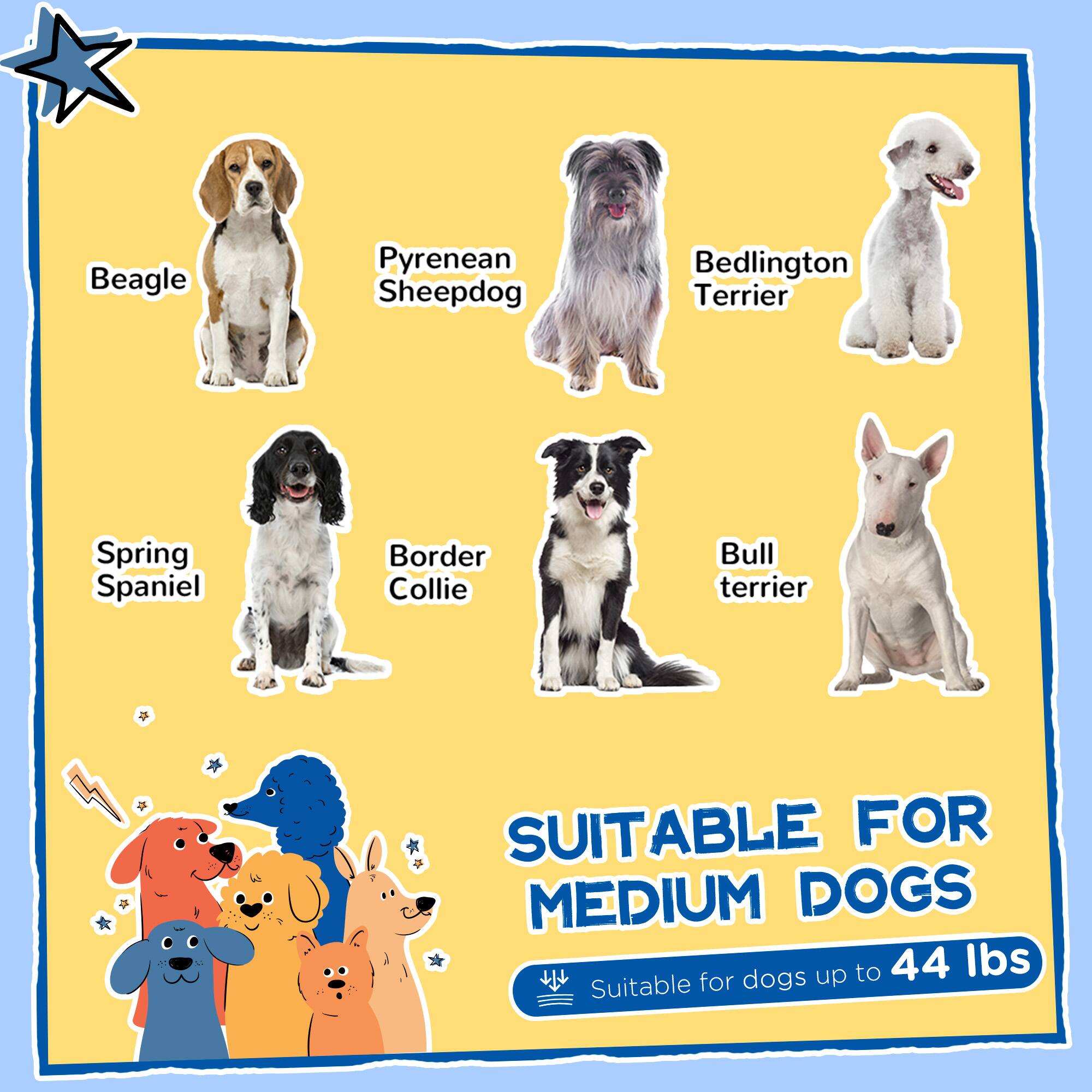 Beagle  
Pyrenean Sheepdog  
Bedlington Terrier  
Spring Spaniel  
Border Collie  
Bull Terrier  

SUITABLE FOR MEDIUM DOGS  
Suitable for dogs up to 44 lbs