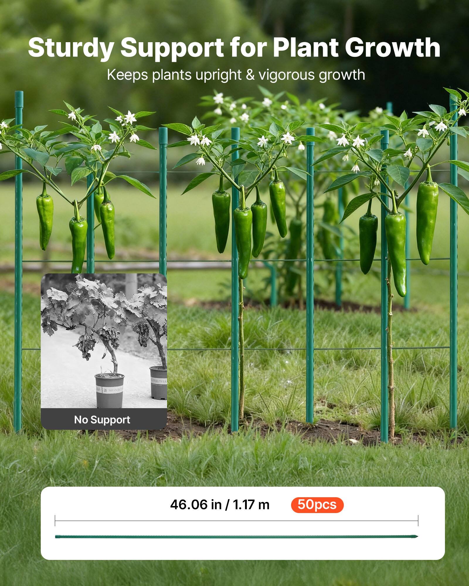 Sturdy Support for Plant Growth  
Keeps plants upright & vigorous growth  

No Support  

46.06 in / 1.17 m  

50pcs