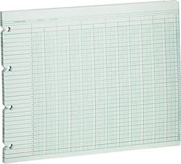 Wilson Jones - Columnar Sheets, Ledger Paper, Ruled, 30 Lines, 20 Columns, Paper, 9 1/4" x 11 7/8", 100/Pk - Green
