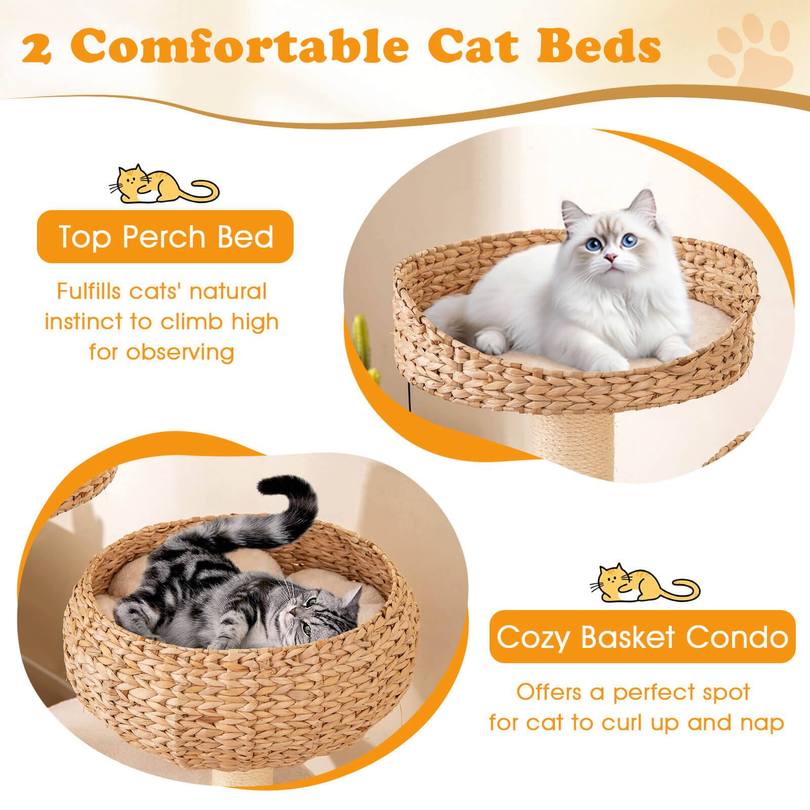 2 Comfortable Cat Beds

Top Perch Bed  
Fulfills cats' natural instinct to climb high for observing

Cozy Basket Condo  
Offers a perfect spot for cat to curl up and nap