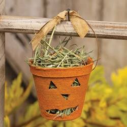 Angle. BreeBe - Jack O Lantern Planter w/Prairie Grass - 3"H - Orange.