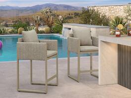 PURPLE LEAF - Outdoor Counter Height Stool Set of 2 Aluminum Modern Olefin Barstools with Backrest Pillow for Garden Balcony Lawn - Champagne & Oval Base-Counter Stool