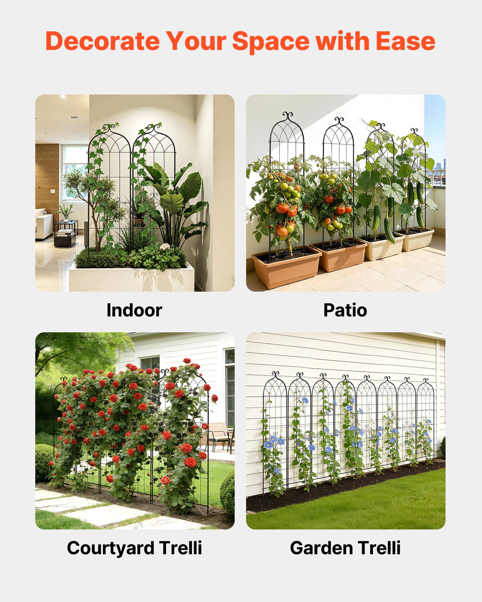 Decorate Your Space with Ease

Indoor

Patio

Courtyard Trelli

Garden Trelli