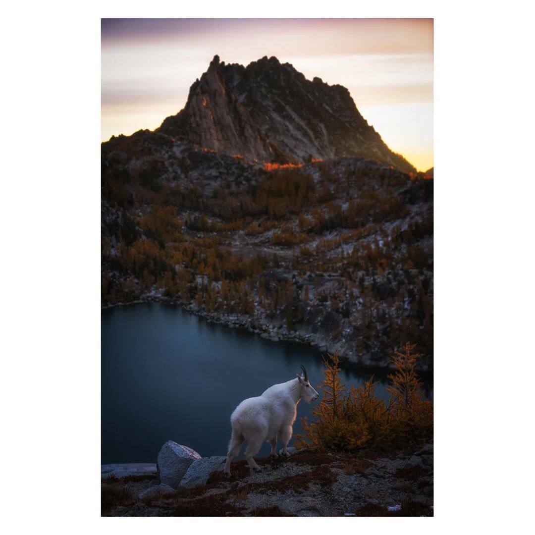 Angle. Hoya - Hoya HD3 UV 52mm Low Profile Lens Protector Filter with Stain Resistant Top Coat.