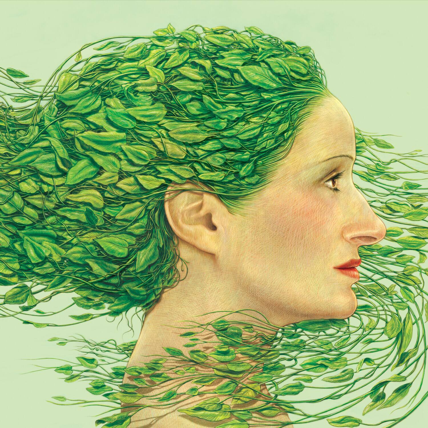 Front. Single - Hola   - COMPACT DISCS.