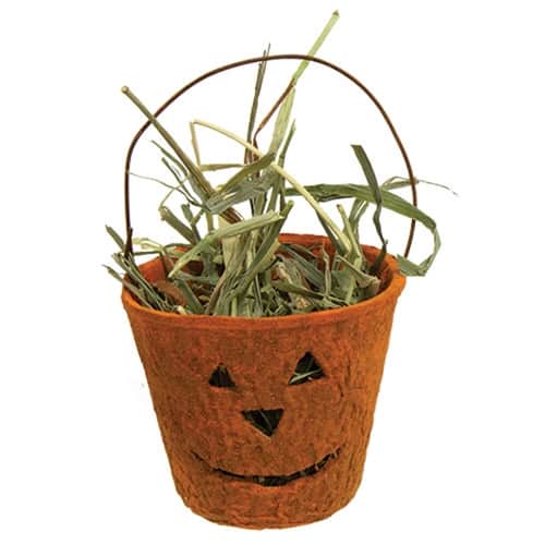 BreeBe - Jack O Lantern Planter w/Prairie Grass - 2.25"H - Green