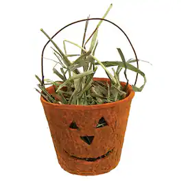 BreeBe - Jack O Lantern Planter w/Prairie Grass - 2.25"H - Green