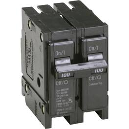 Amber Sporting Goods - Eaton Corporation Br2100 Double Pole Interchangeable Circuit Breaker, 120/240V, 100-Amp