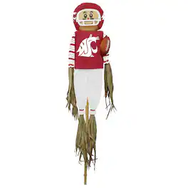 Sporticulture - Washington State Cougars Team Pride Scarecrow - Multicolor