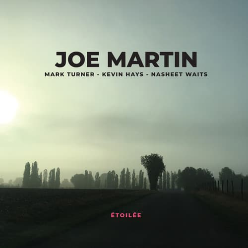 Joe Martin - Etoilee  - COMPACT DISCS