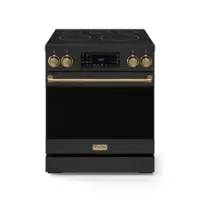 Gordon Ramsay Series by Thor Kitchen 4.55 Cu. Ft Freestanding Electric Range with Bronze Hardware - Black - Front_Zoom