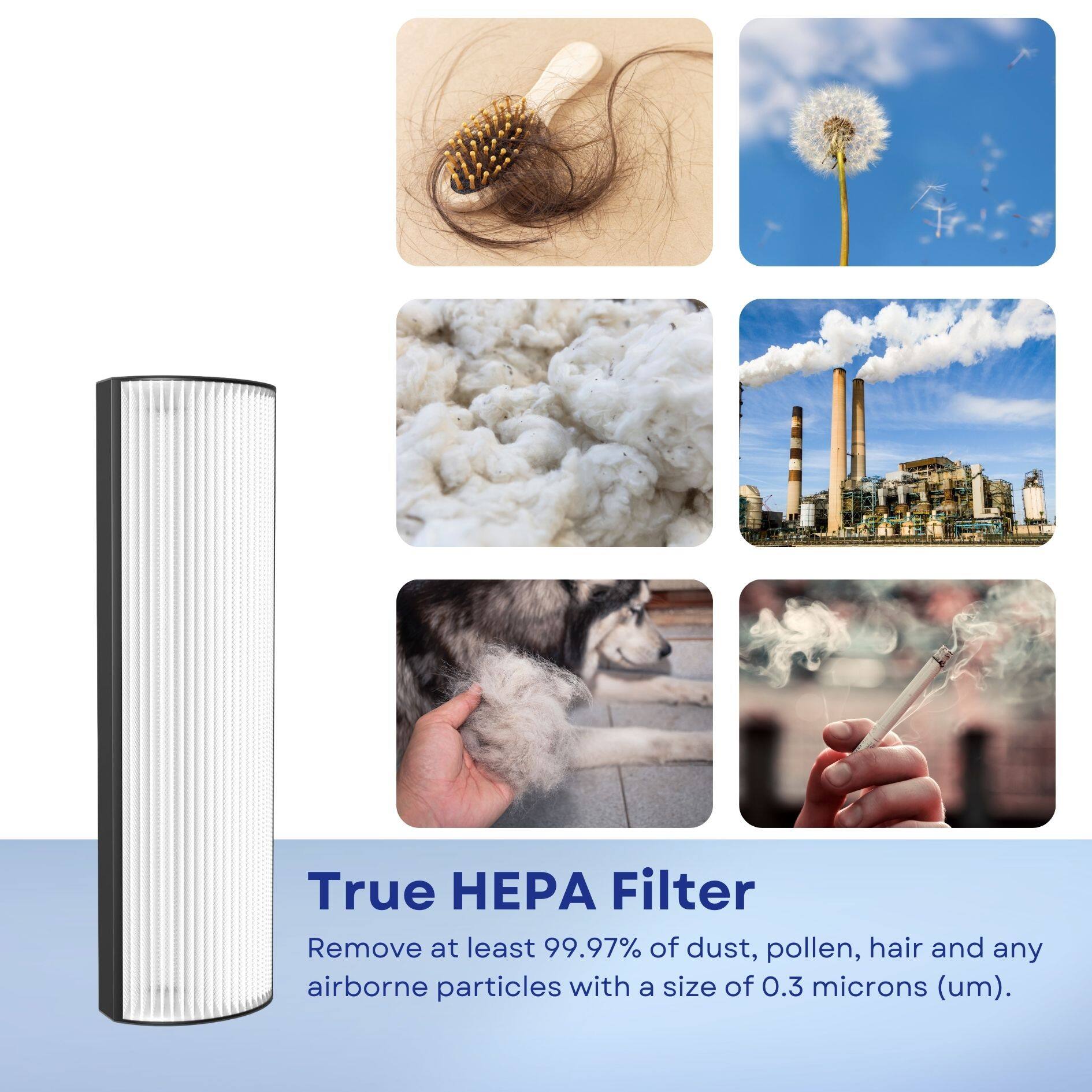 True HEPA Filter

Remove at least 99.97% of dust, pollen, hair and any airborne particles with a size of 0.3 microns (um).