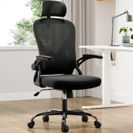 Front. Trinkets Crazed - Ergonomic Office Chair, Home Office Desk Chair with Headrest, High Back Computer Chair with Armrests - black.