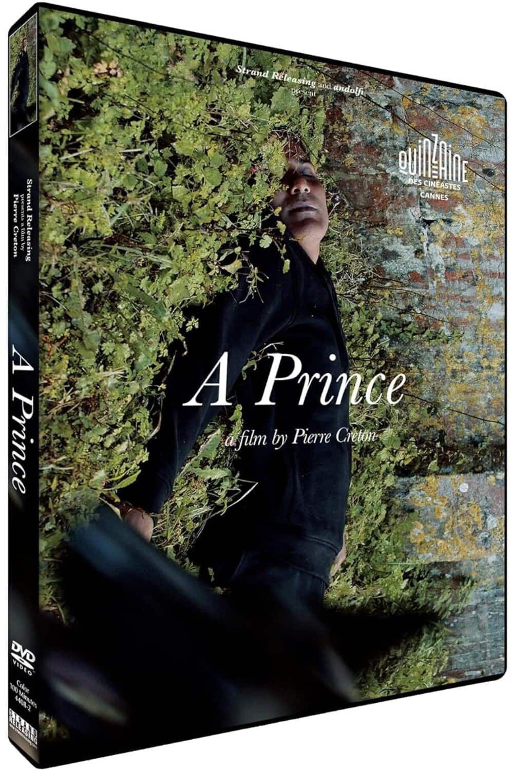 Prince  - DVD