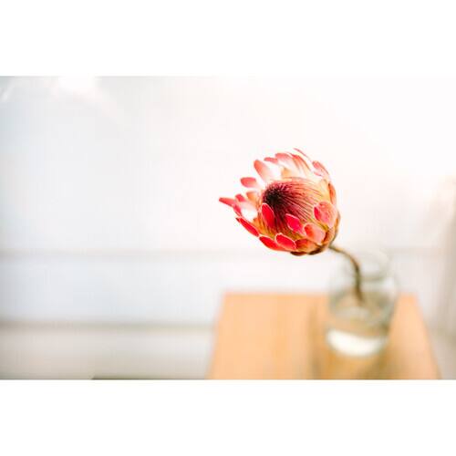 Alt View 4. Sigma - Sigma 35mm f/1.2 DG II Art Lens for Sony E with Advanced Accessory and Travel Bundle | 370965 | 35mm Lens for Sony E.