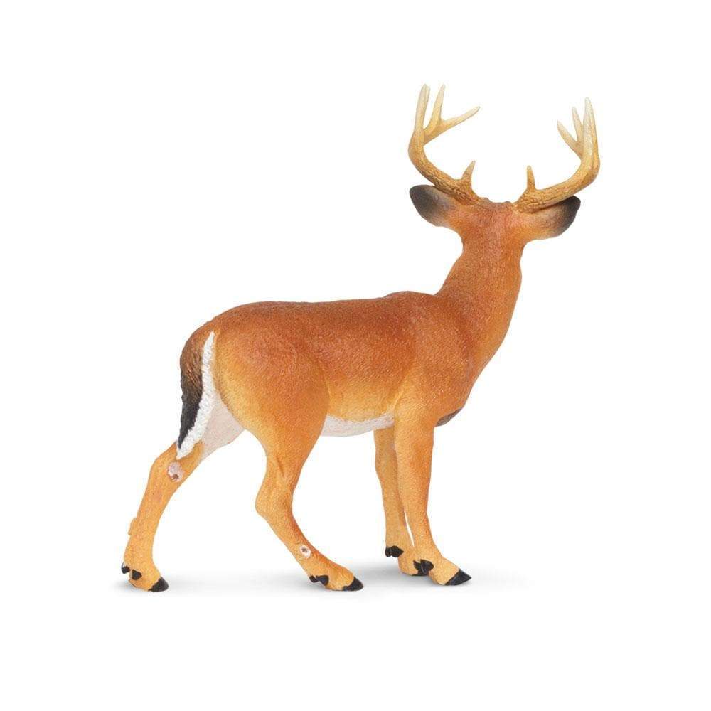 Back. Safari Ltd. - Whitetail Buck Toy Figurine.