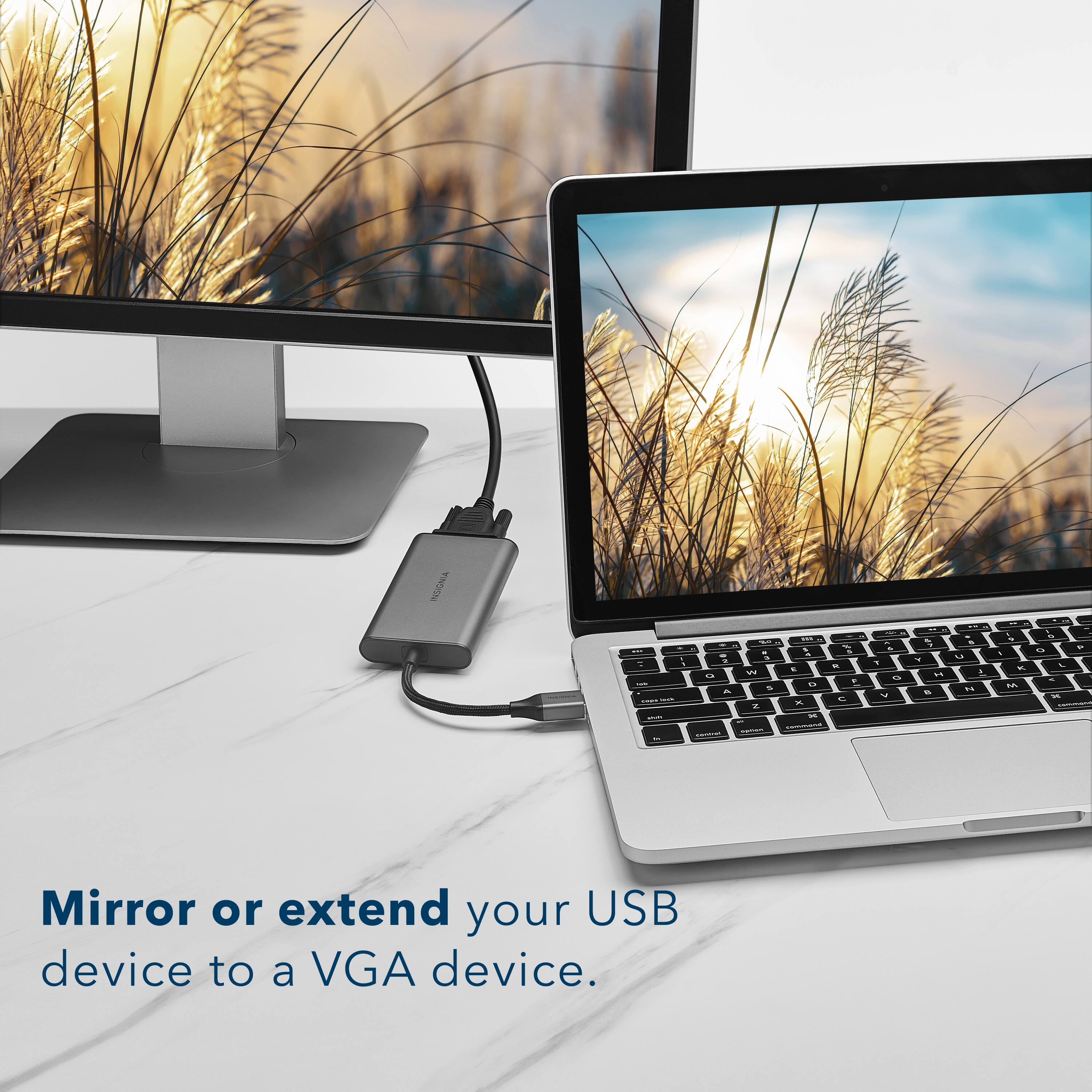 Mirror or extend your USB device to a VGA device.