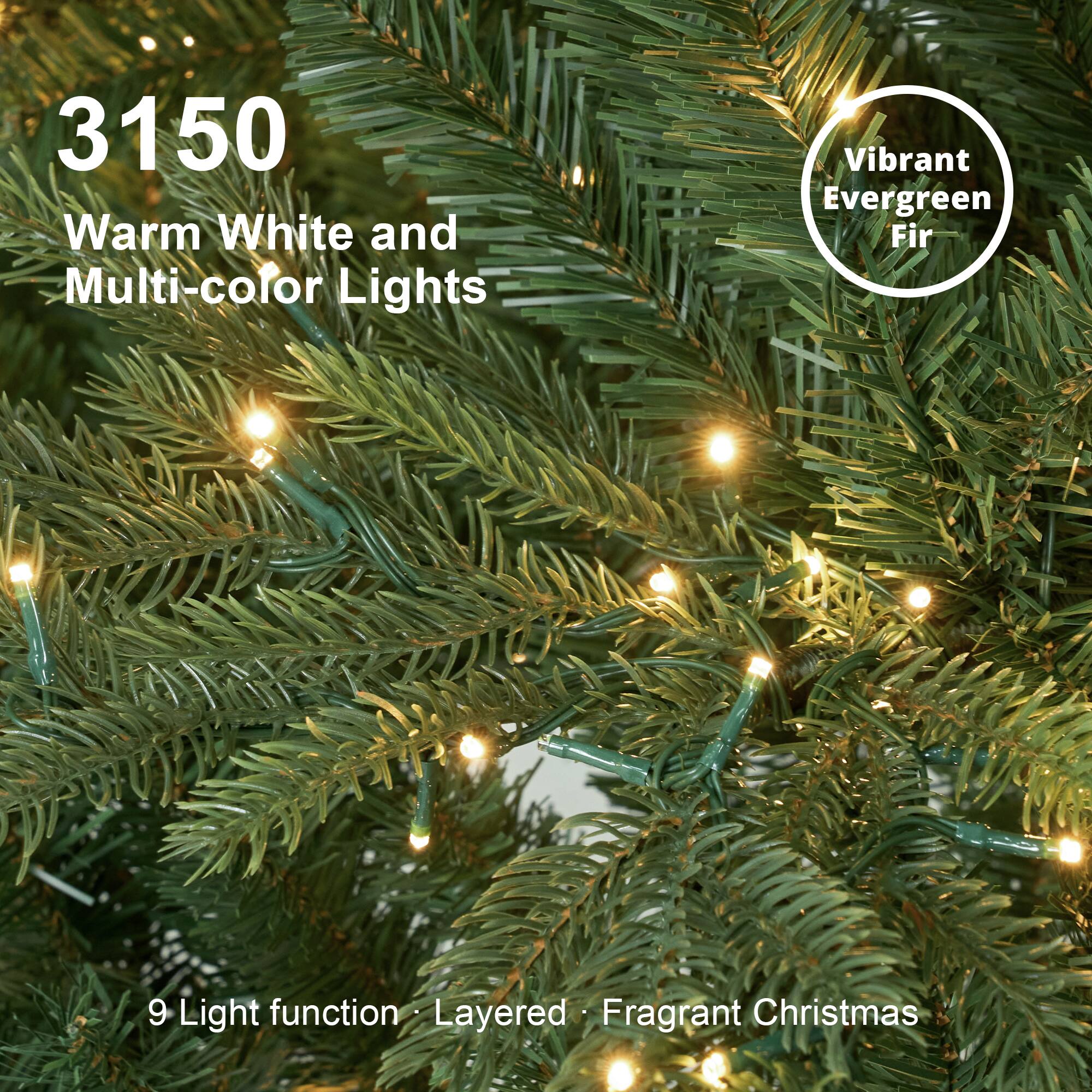 3150 Warm White and Multi-color Lights

Vibrant Evergreen Fir

9 Light function • Layered • Fragrant Christmas