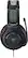 The text on the image is "TURTLE BEACH."