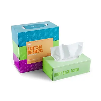 A Soft Spot for Sneezes
Right Back Achoo