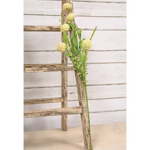 Angle. BreeBe - Thistle Heather Ball Spray Cream - Cream, Green.