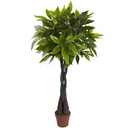 BreeBe - 4' Money Plant (Real Touch) - Green
