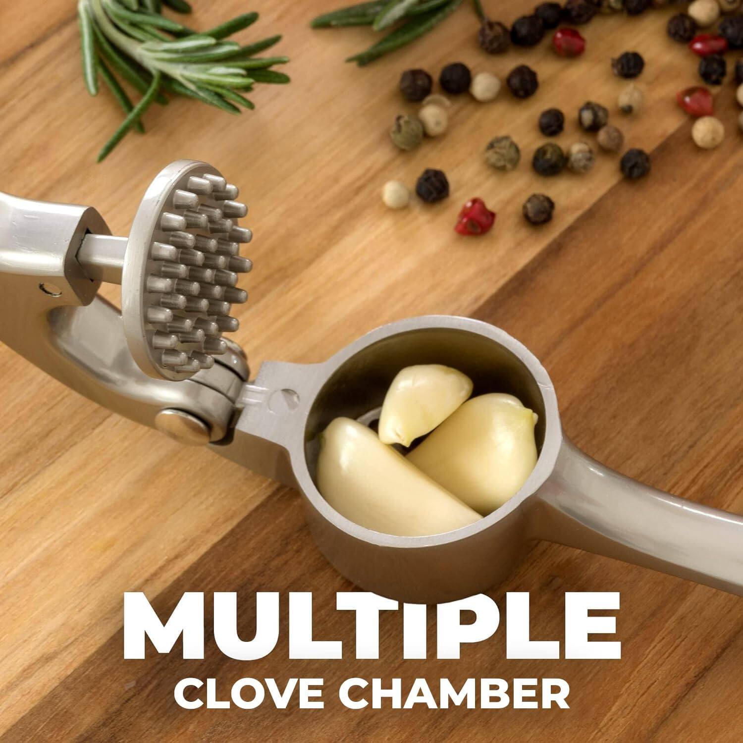 MULTIPLE CLOVE CHAMBER