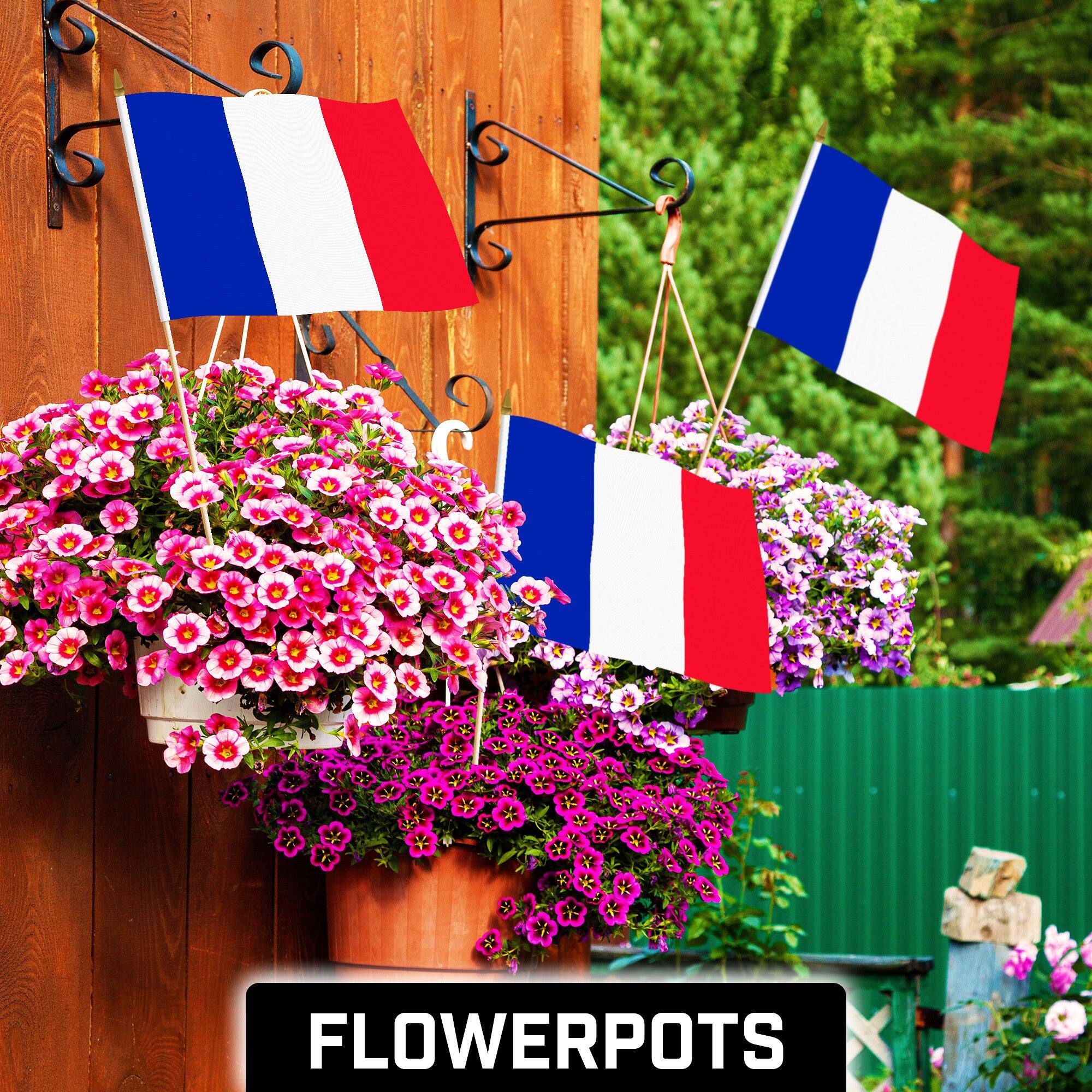Angle. G128 - 50-Pack Handheld France Flags 12 x 18 in 150D Polyester with Wooden Stick and Gold Spear Tip - Assorted Colors.