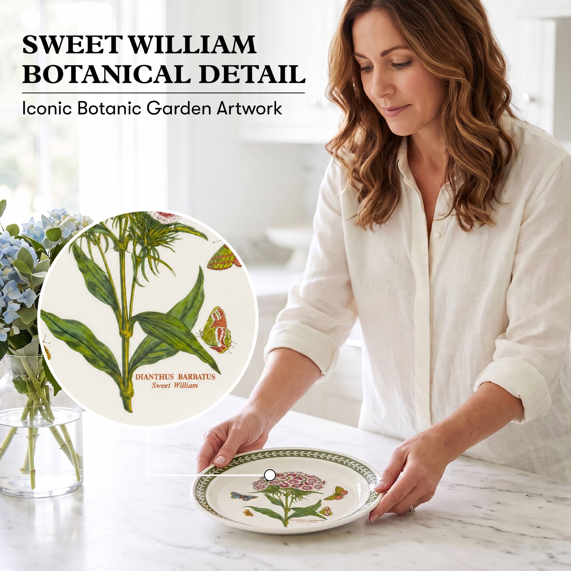 SWEET WILLIAM BOTANICAL DETAIL  
Iconic Botanic Garden Artwork  
DIANTHUS BARBATUS Sweet William